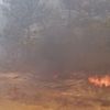 Gebze’de mesire alanındaki yangın fabrikalara sıçradı Gebze’de mesire alanındaki yangın fabrikalara sıçradı