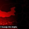 Elazığ da 3 buzağı ölü doğdu Elazığ da 3 buzağı ölü doğdu