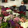 Çiçekçiler adrese teslim satışlardan memnun