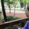 Gaziantep'te 'Hıdırellez' coşkusu Gaziantep'te 'Hıdırellez' coşkusu