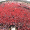 Milli İrade'den miting talebi Milli İrade'den miting talebi