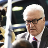 Steinmeier Kafkaslar'a gidiyor