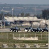 Foto Galeri: Suudi Arabistan'a Ait Savaş Uçakları İncirlik'te