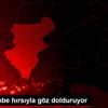 Benik Afobe hırsıyla göz dolduruyor Benik Afobe hırsıyla göz dolduruyor