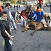 Çocukların gözü önünde kurban kestiler Çocukların gözü önünde kurban kestiler