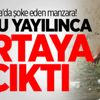 Adana'da şoke eden manzara! Adana'da şoke eden manzara!