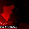 Denizlispor da favori Kafkas Denizlispor da favori Kafkas