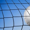 Voleybol'da haftanın programı Voleybol'da haftanın programı