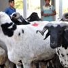 Kurban vekaleti nasıl verilir? Kurban vekaleti nasıl verilir?