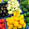 Aralık 2014'te en çok salatalık fiyatı arttı
