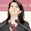 Öcalan’ın istediği İzleme Heyeti de kuruluyor