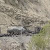 Irak sınırında hareketlilik Irak sınırında hareketlilik