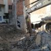 Avcılar’da şoke eden görüntü