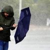 Belek’i fırtına vurdu, takımlar antrenmanlarını iptal etti Belek’i fırtına vurdu, takımlar antrenmanlarını iptal etti