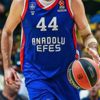Anadolu Efes, Alba önünde
