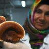 Meşe kütüğünde reishi mantarınının 'şampiyon' kadın üreticisi