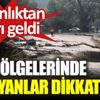 ﻿Sel bölgelerinde yaşayanlar dikkat. Bakanlıktan uyarı geldi