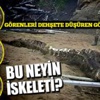 Ukrayna'da nükleer kaza!