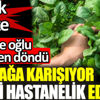 Hopa'da ıspanağa karışan güzelavrat otu yiyeni komaya sokuyor. Ispanakta büyük tehlike. Anne ile oğlu ölümden döndü. Hopa'da ıspanağa karışan güzelavrat otu yiyeni komaya sokuyor. Ispanakta büyük tehlike. Anne ile oğlu ölümden döndü.