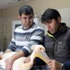 Otelin balkonunda yaralı pelikan bulundu Otelin balkonunda yaralı pelikan bulundu