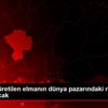 Niğde de üretilen elmanın dünya pazarındaki rekabet ... Niğde de üretilen elmanın dünya pazarındaki rekabet ...