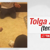 Beşiktaş taraftarı Tolga Zengin'e tepkili