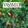 Goji Berry Üzümü Zayıflama