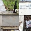 Ukrayna canisi, babasının Pendik’teki mezarına bu notu bırakmış