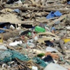 Akdeniz plastik çöplüğüne dönüşüyor Akdeniz plastik çöplüğüne dönüşüyor