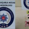 Düzce'de 3 uyuşturucu taciri tutuklandı Düzce'de 3 uyuşturucu taciri tutuklandı