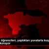 Üniversite öğrencileri, yaptıkları yuvalarla kuşları ... Üniversite öğrencileri, yaptıkları yuvalarla kuşları ...