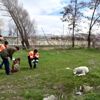 Tatvan da sokak hayvanları için yem ve mama bırakıldı