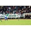 Kadınların Futbol Aşkı