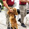 HAYDİ'ye yoğun ilgi HAYDİ'ye yoğun ilgi