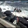 Büyükada'da facia ucuz atlatıldı! Tsunami benzeri dev dalga Büyükada'da facia ucuz atlatıldı! Tsunami benzeri dev dalga
