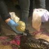 SON DAKİKA: İstanbul’da dev uyuşturucu operasyonu: 55 kilogram toz kubar ele geçirildi SON DAKİKA: İstanbul’da dev uyuşturucu operasyonu: 55 kilogram toz kubar ele geçirildi
