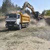 Belediyeden ağaç katliamı Belediyeden ağaç katliamı