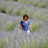 Tıbbi-aromatik bitkiler için hazine dopingi Tıbbi-aromatik bitkiler için hazine dopingi
