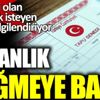 ﻿Bakanlık düğmeye bastı