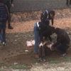 Polisin dur ihtarına uymadı, öldü! Polisin dur ihtarına uymadı, öldü!