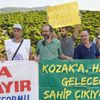 Bergama'da yargı zaferi: 4 bin 325 kızılçam, zeytinlikler, meralar ve tarım alanları kurtuldu