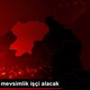 ÇAYKUR mevsimlik işçi alacak