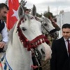 Başbakan'dan Tunceli yorumu Başbakan'dan Tunceli yorumu