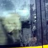Veteriner, hayvanları araçta bıraktı... Bir kedi havasızlıktan telef oldu Veteriner, hayvanları araçta bıraktı... Bir kedi havasızlıktan telef oldu