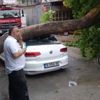 Bursa'da şiddetli rüzgar araçları devirdi Bursa'da şiddetli rüzgar araçları devirdi