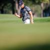 Turkish Airlines Open 2019 Golf Turnuvası