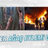 Ağaç kesilmesine karşı çıplak eylem yaptılar Ağaç kesilmesine karşı çıplak eylem yaptılar
