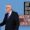 AB'den Brexit eleştirisi: Bizim yüzümüzden oldu