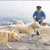 Köpekleri için eşinden ayrıldı Köpekleri için eşinden ayrıldı