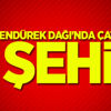 Ağrı Tendürek Dağı'nda çatışma: 2 şehit